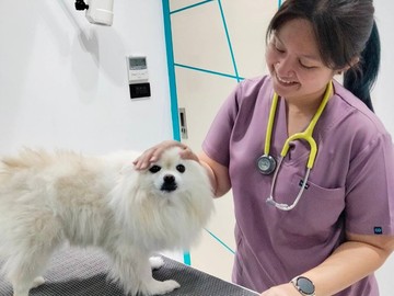 setthakitanimalhospital3