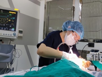 setthakitanimalhospital3
