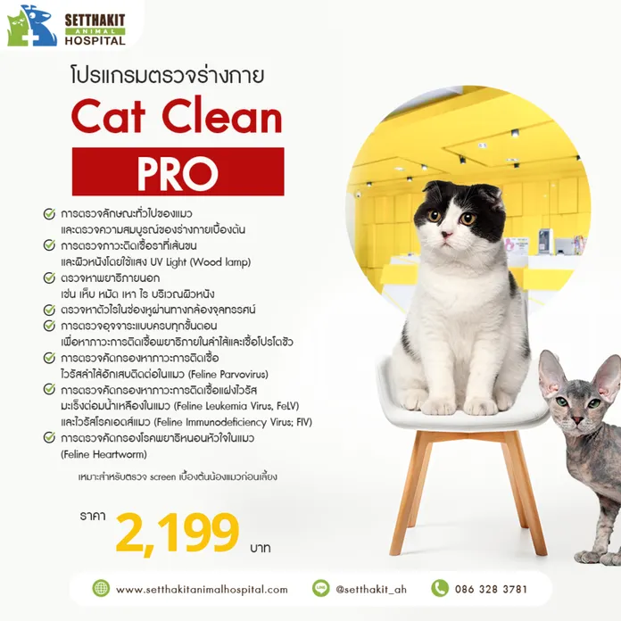 Cat Clean Pro