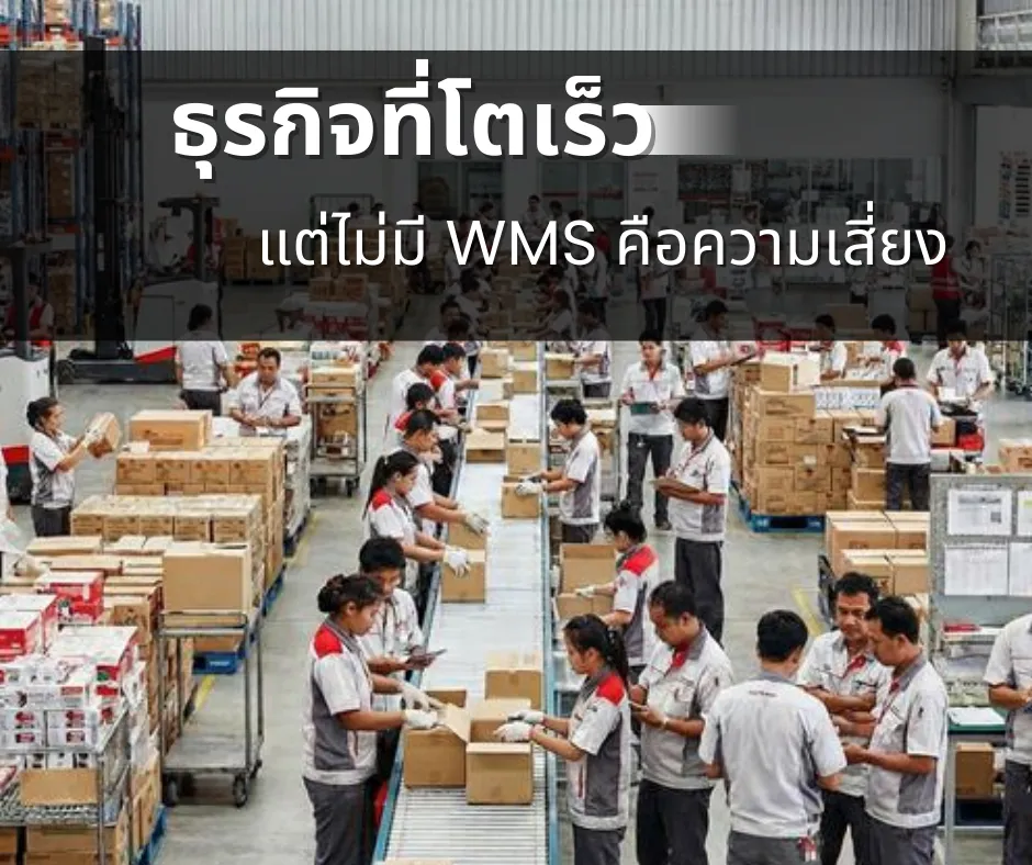 บทความ3TH