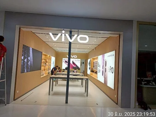 Vivo