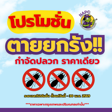 ปกใหม่