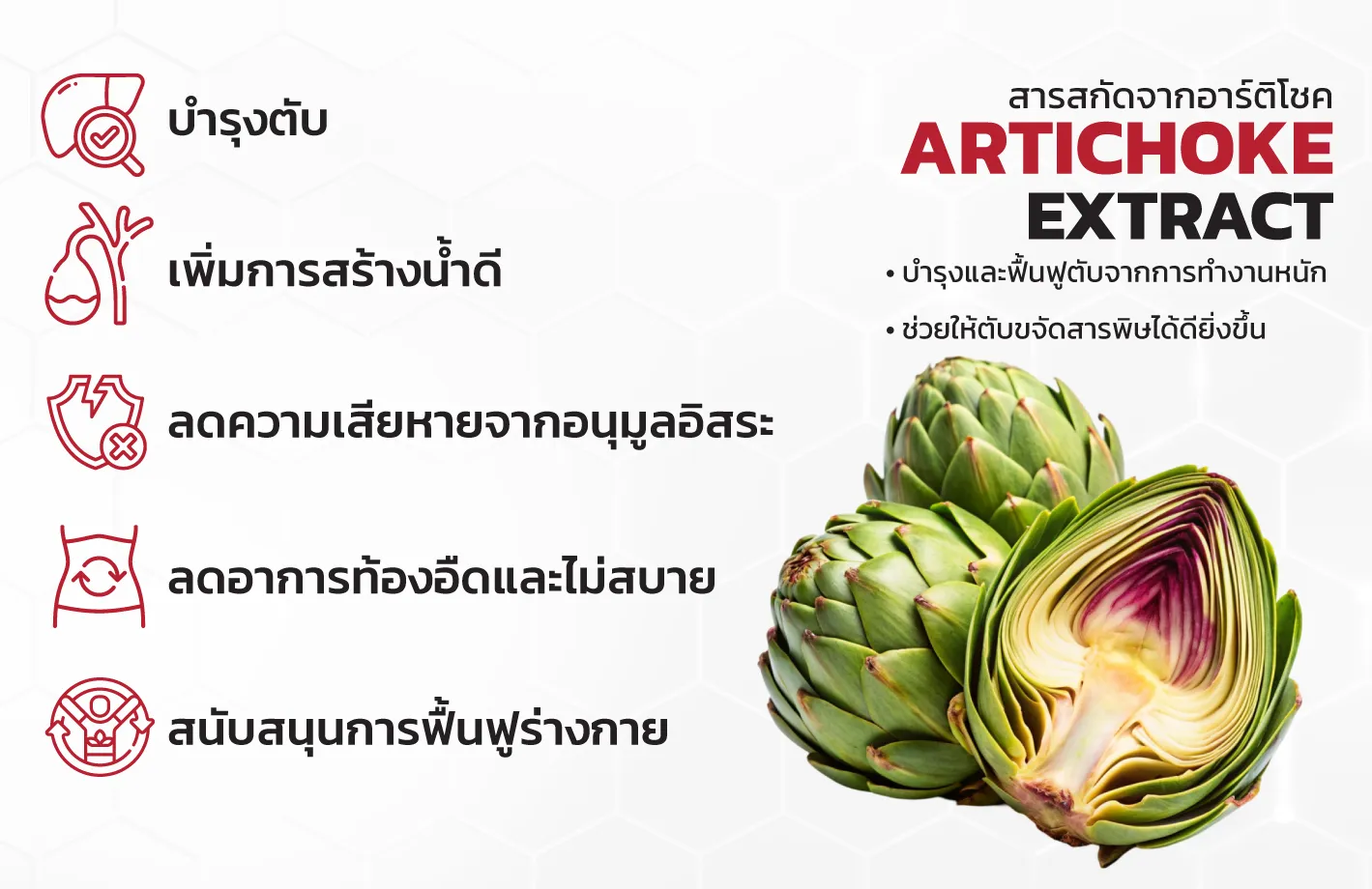 ARTICHOKE-2