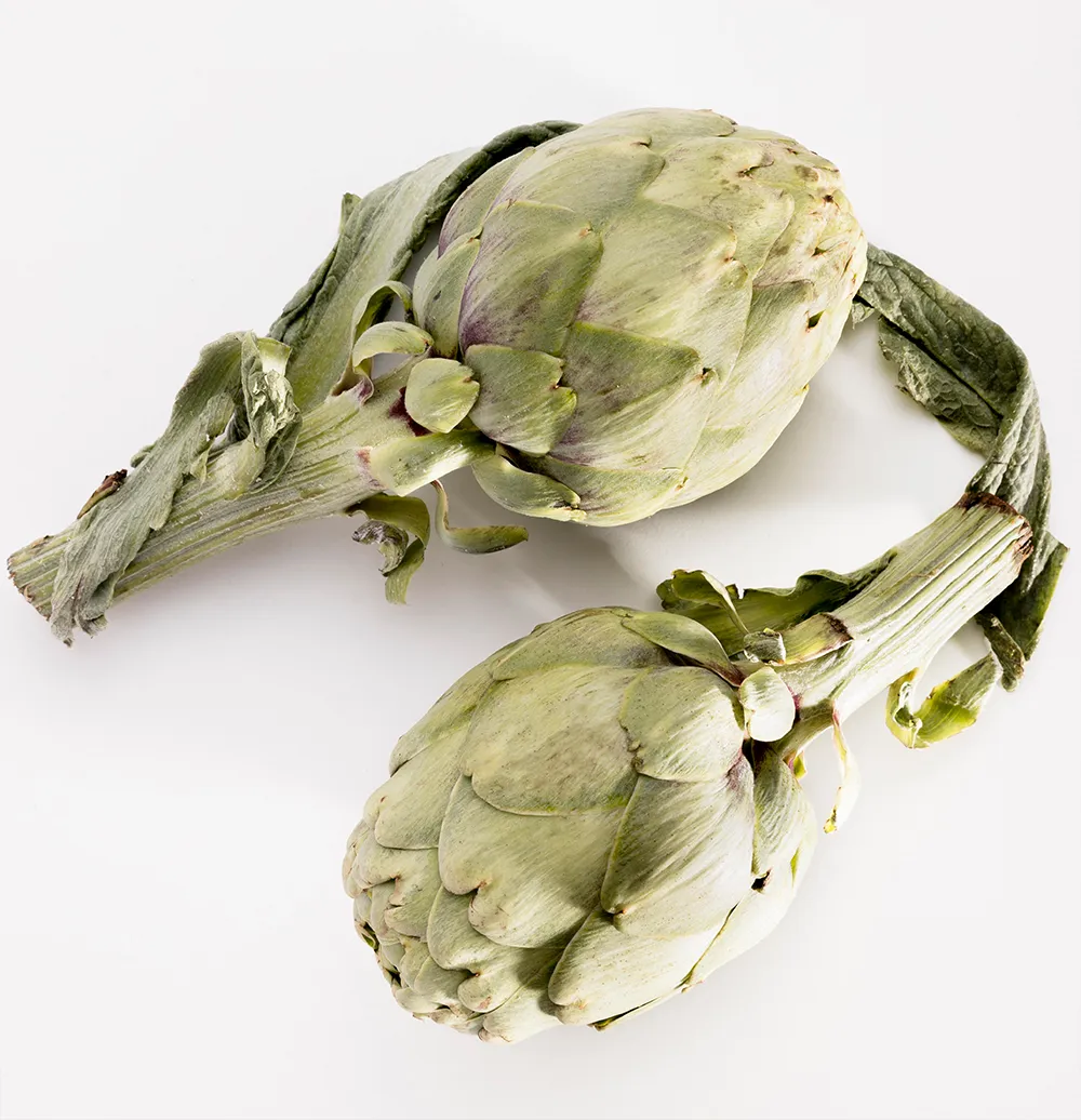 ARTICHOKE-EXTRACT