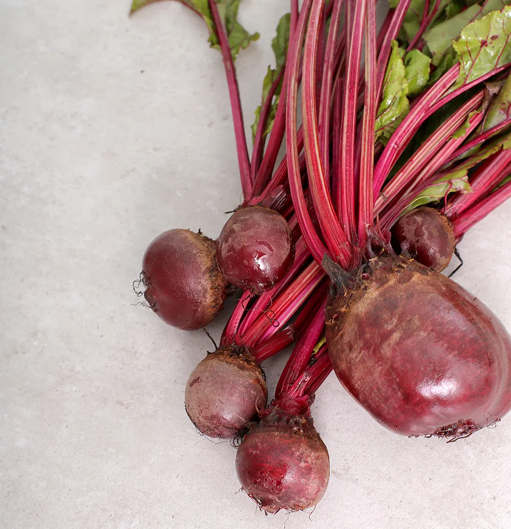 BEETROOT