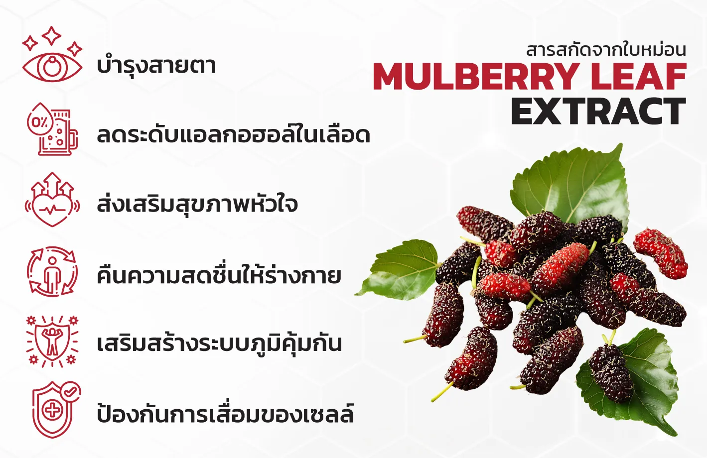 MULBERRY1
