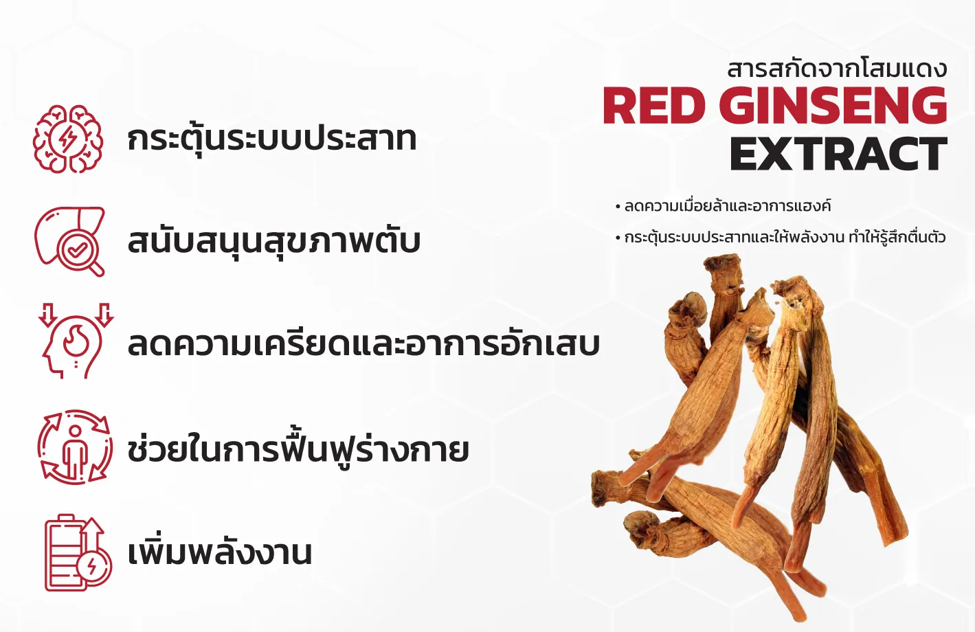 RED-GINSENG-2