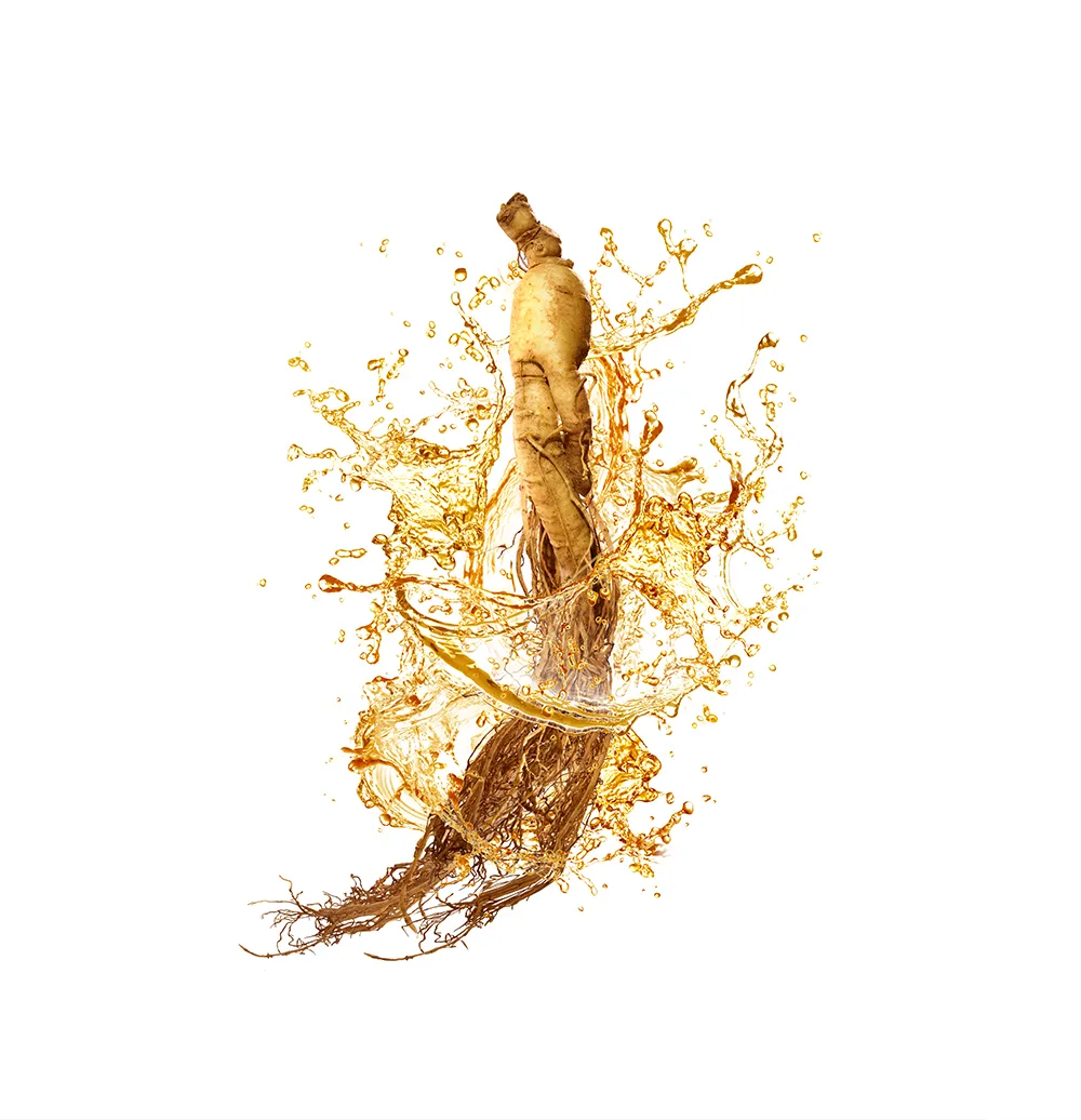 RED-GINSENG-EXTRACT