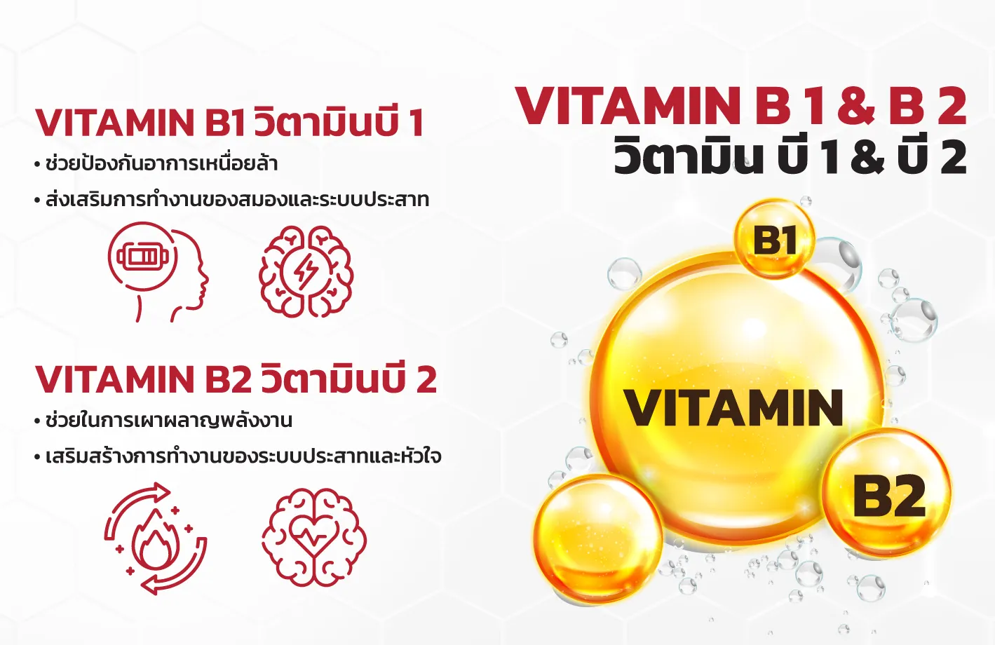 VITAMIN-B-1-&-B-2---2