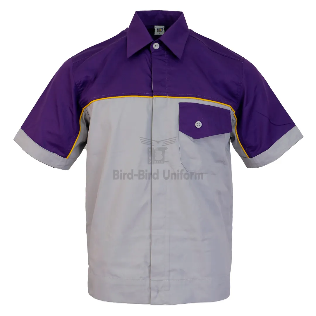 BSS-016