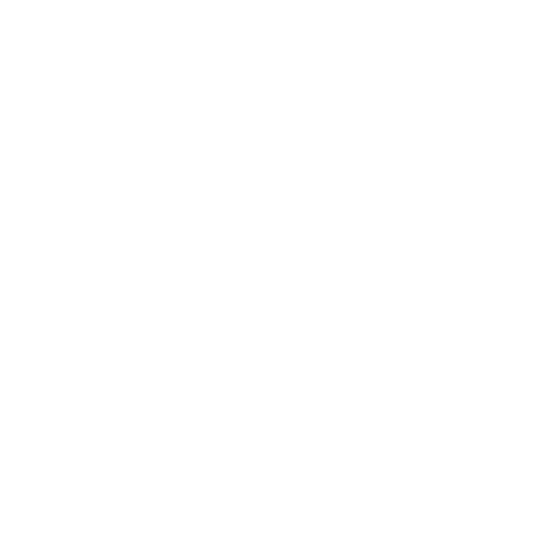 phone(2)