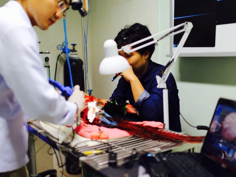 Endoscope