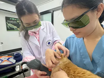 เลเซอร์บำบัด3