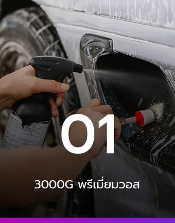 3000gcardetailing12