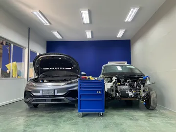allev-service(1)