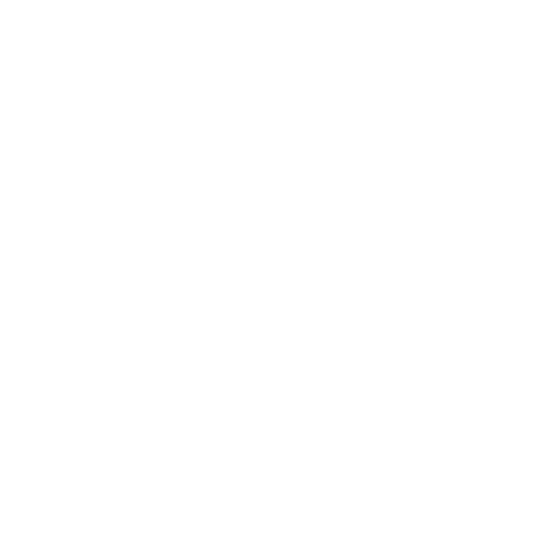 phone(3)