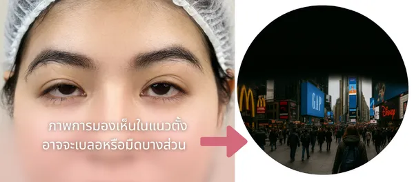 ข้อความในย่อหน้าของคุณ