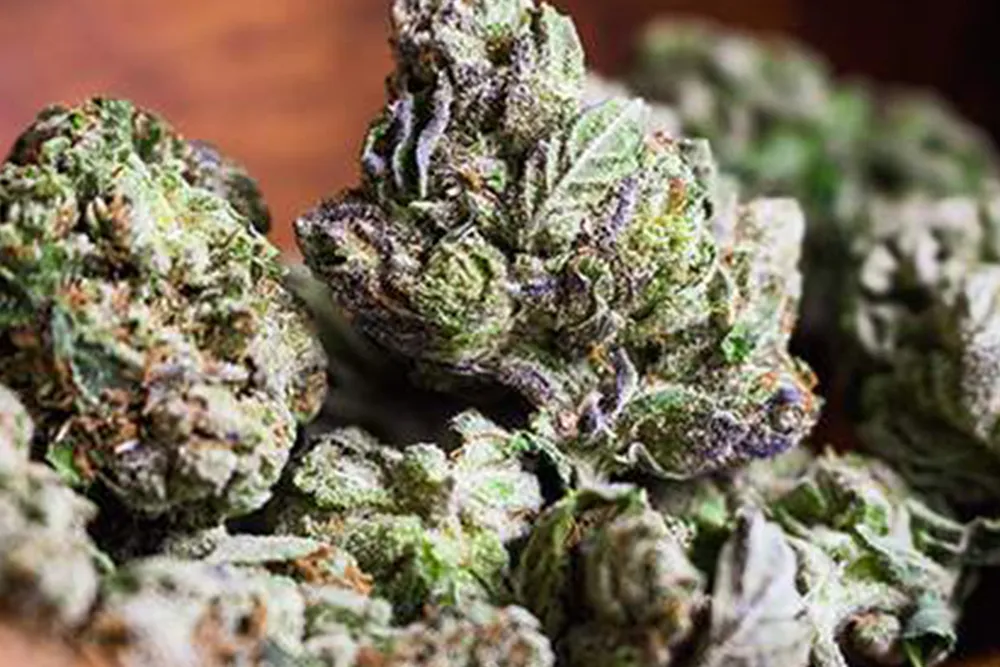 การวิเคราะห์-16-Cannabinoids
