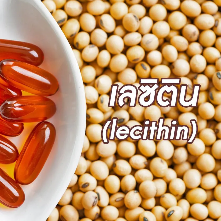 อยากบำรุงสมองต้องลองเลซิติน