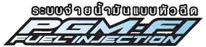 logo-pgm-fi
