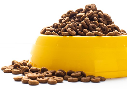 nektechpetfood1