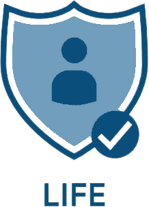 icon1-1