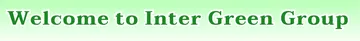 intergreengroup(1994)co