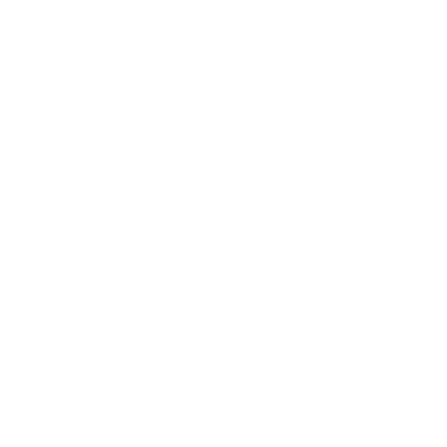 icon-scan