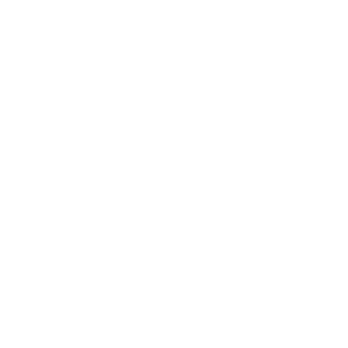 icon-shop