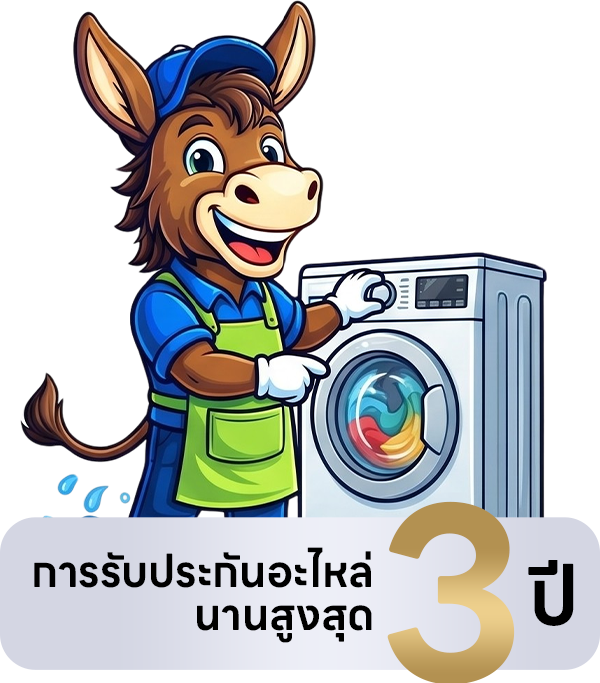 3-year