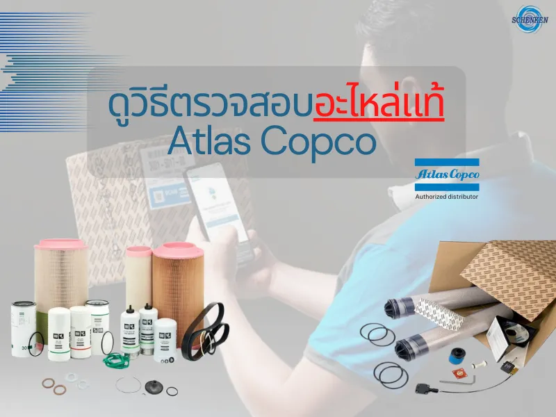 ปกบทความ800600(10)