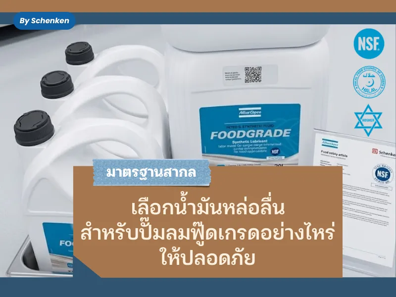 ปกบทความ800600(72)