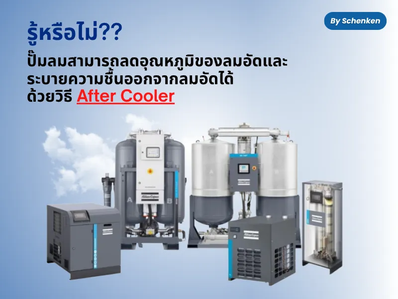 ปกบทความ800600(98)