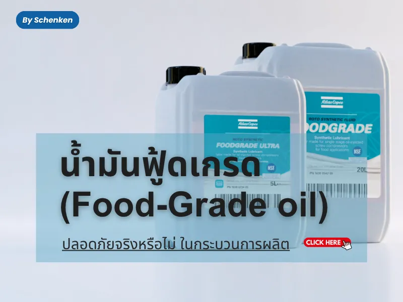 ปกบทความ800600-2026-09-21T154341