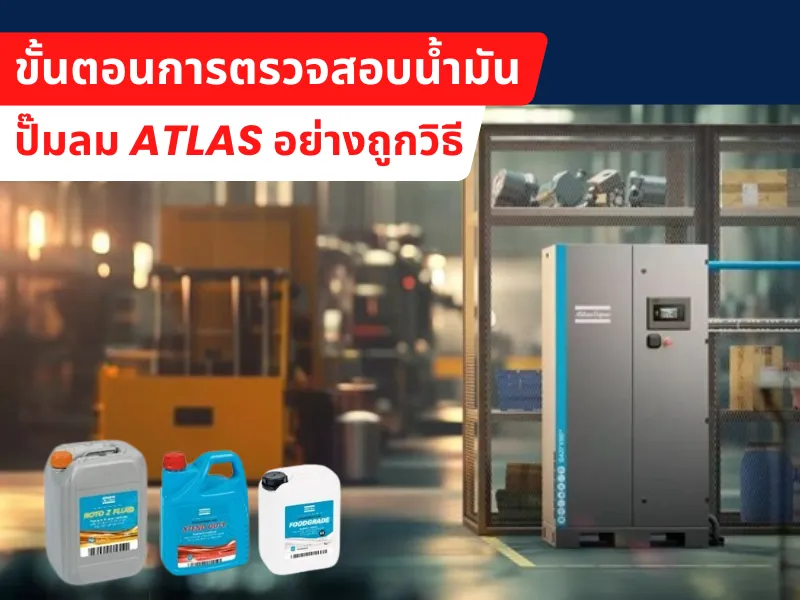 ปกบทความ