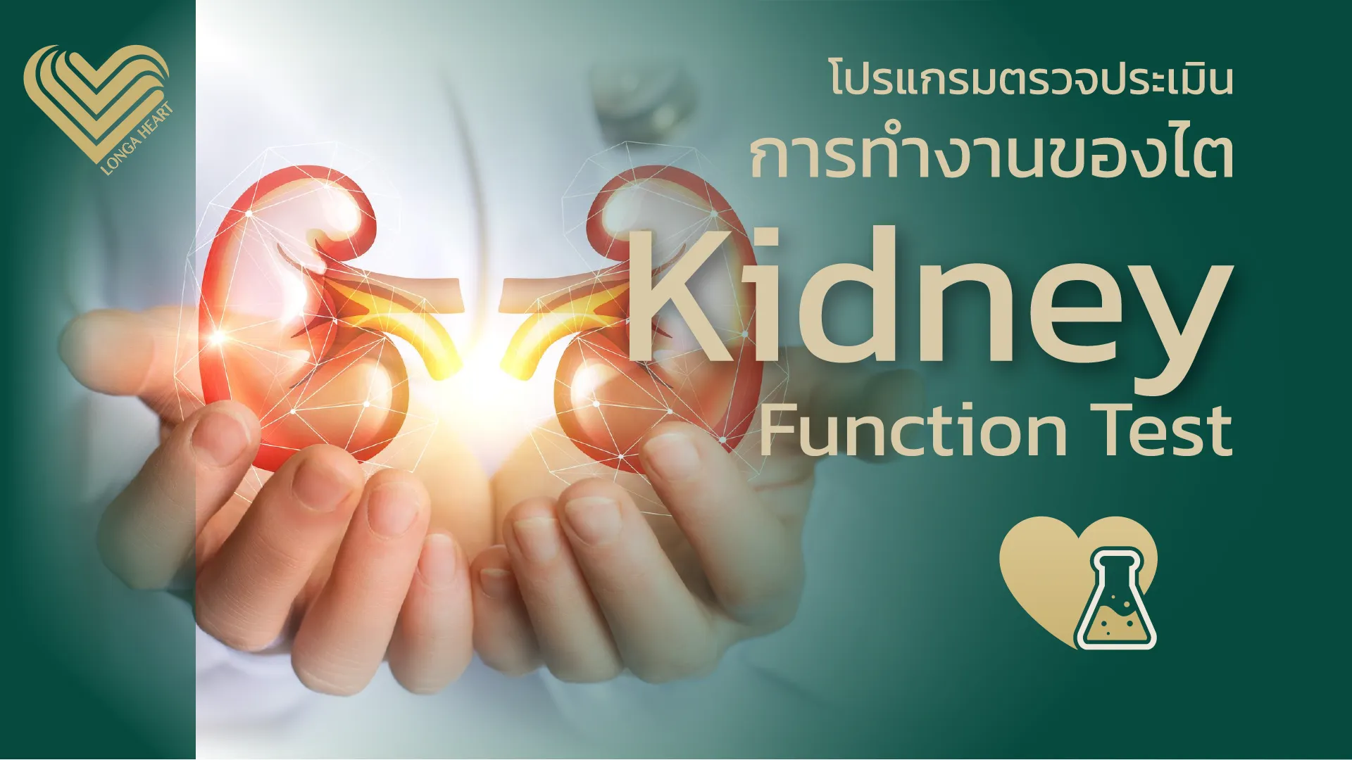 5KidneyFunctionTest
