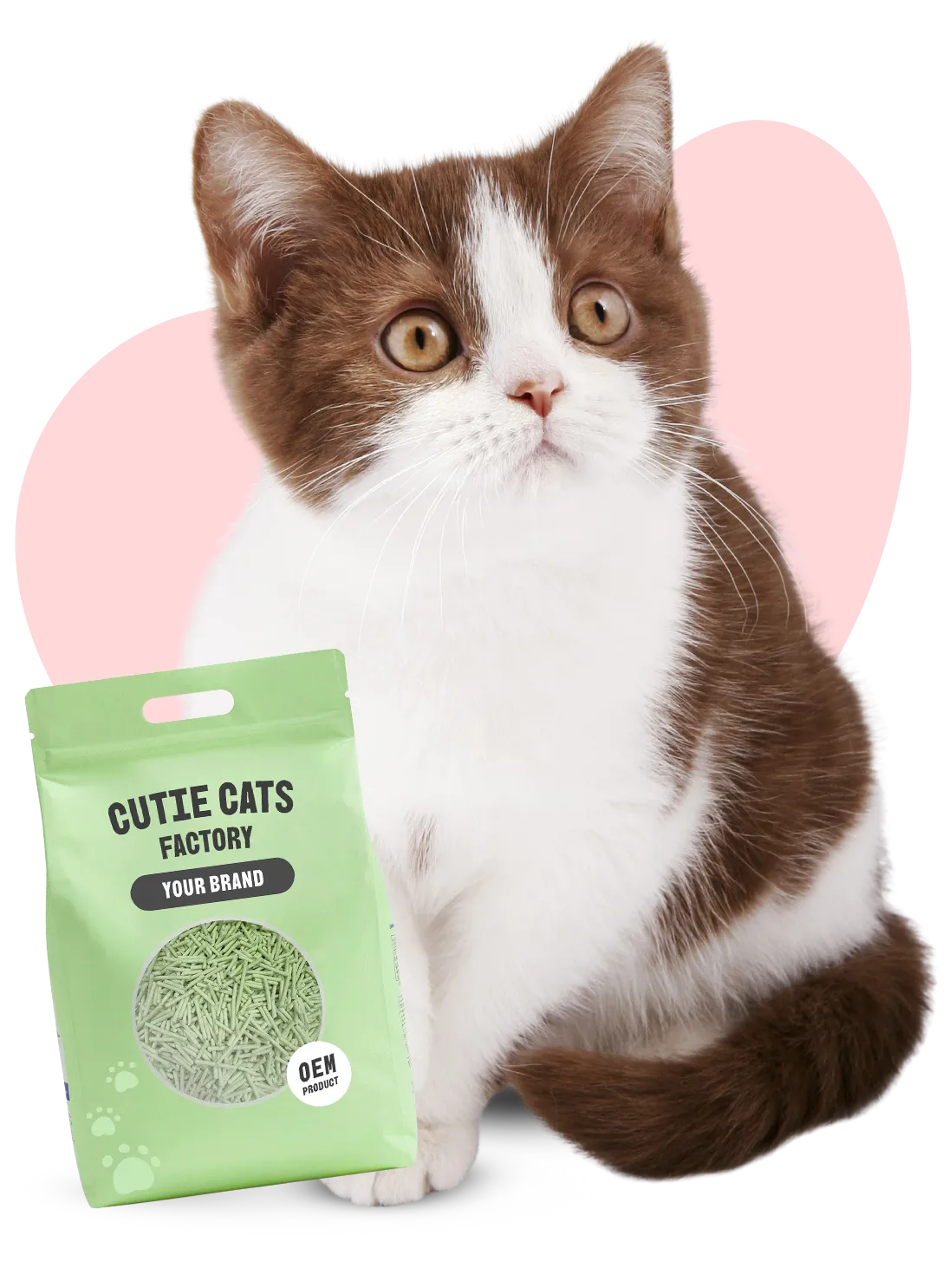 Cutie-Cats-Factory