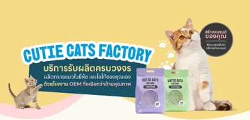 cutiecats-factory-02