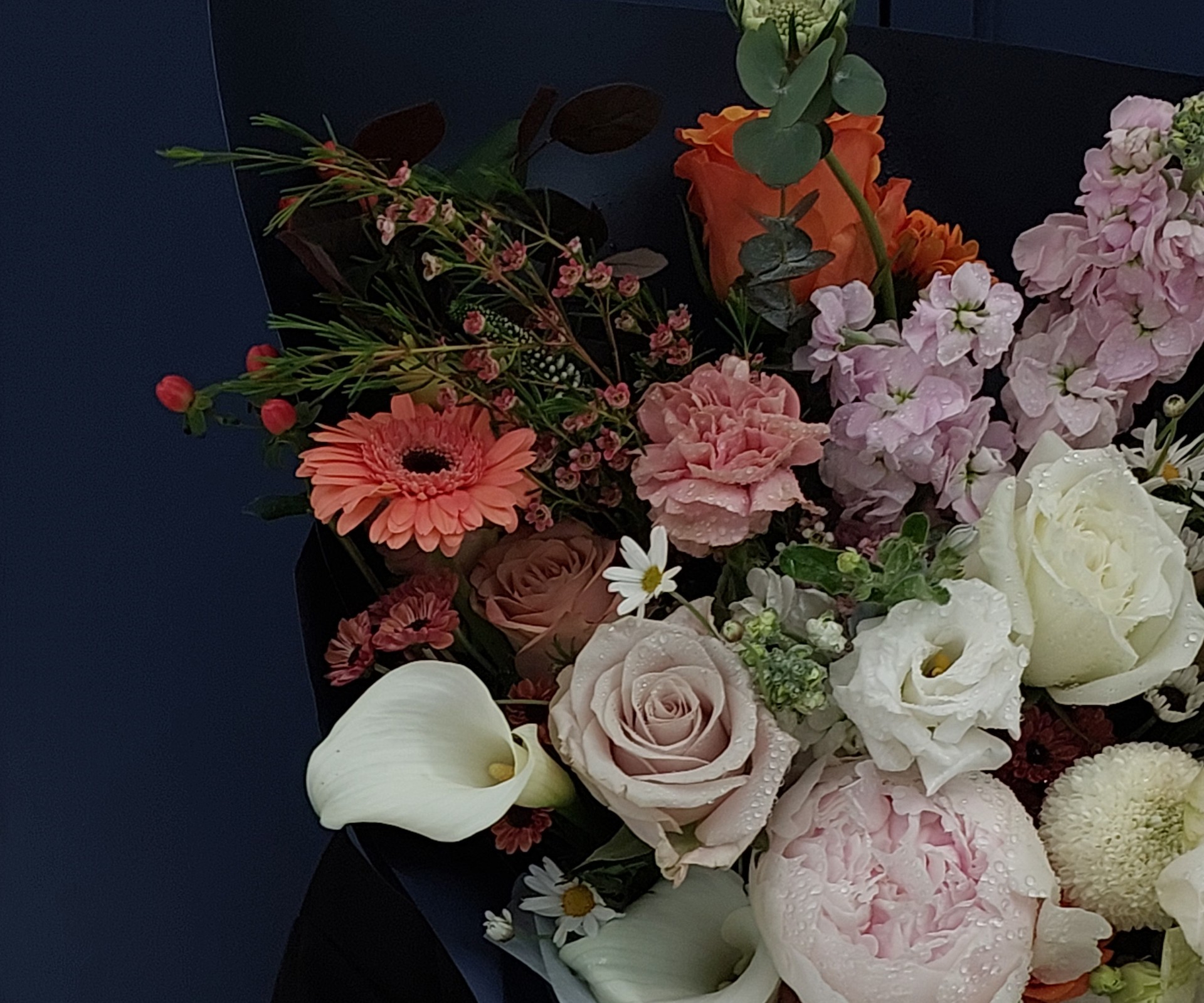 Cat-Florist-(08)
