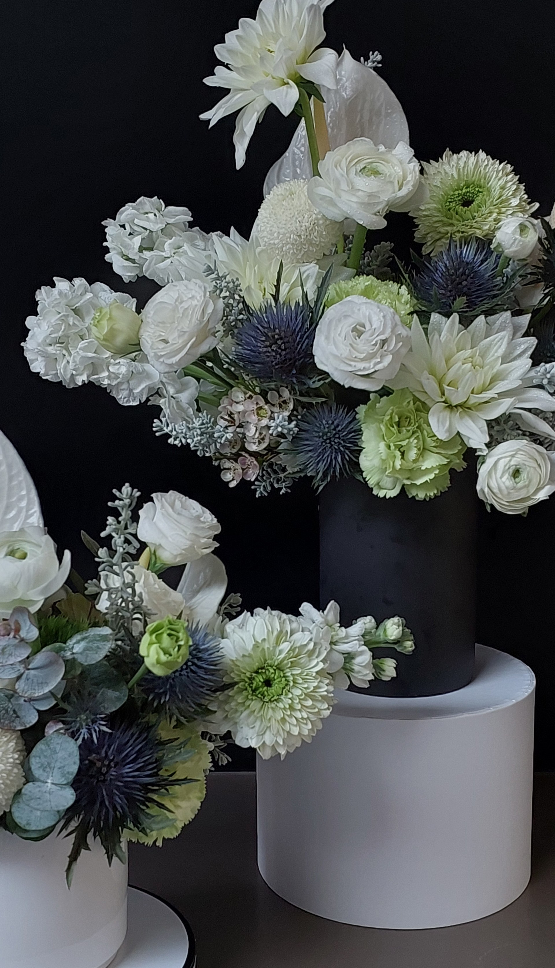 Cat-Florist-(5)