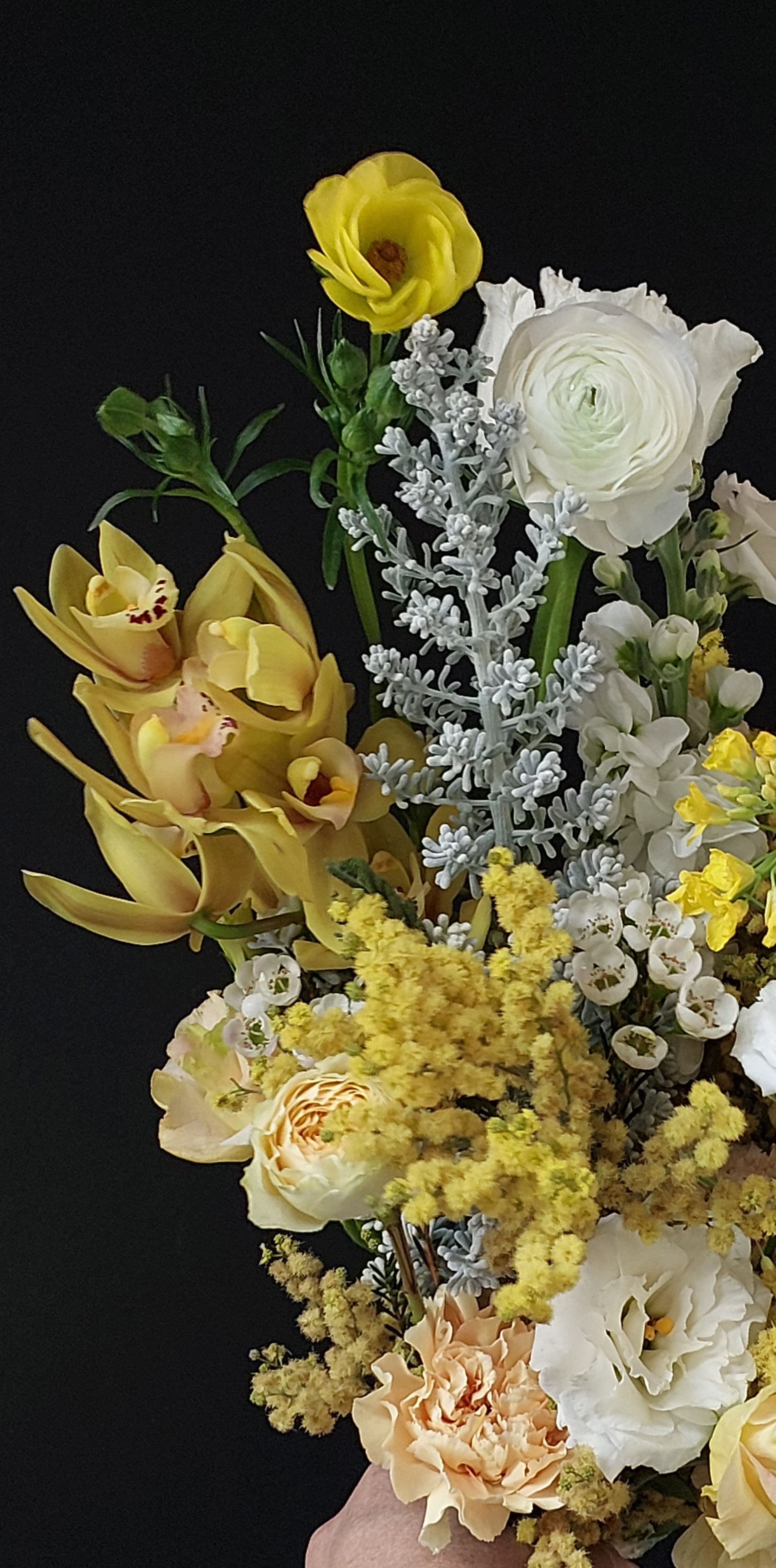 Cat-Florist-(78)