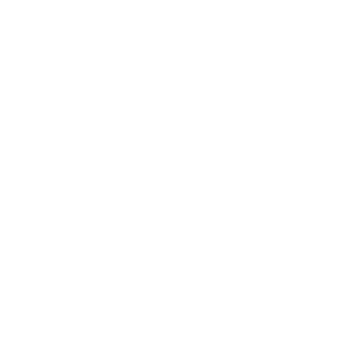 icon-service01