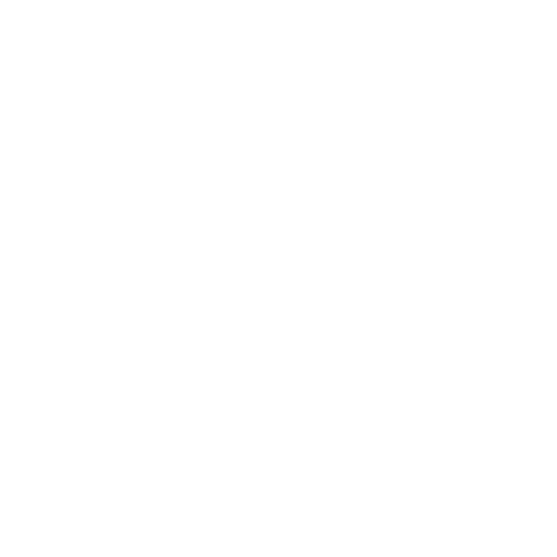 icon-service03