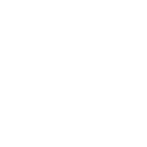 icon-service04