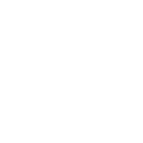 icon-service05