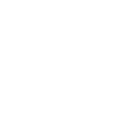 icon-service06