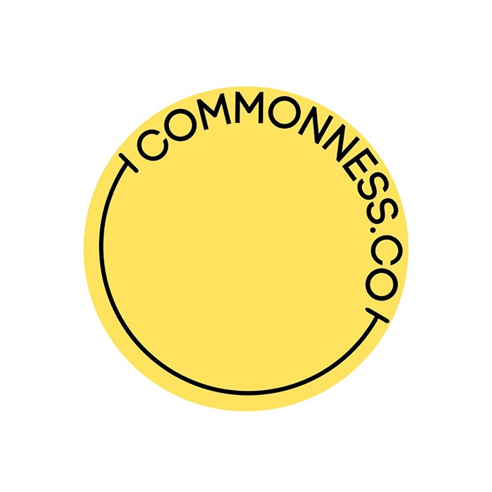 logo20