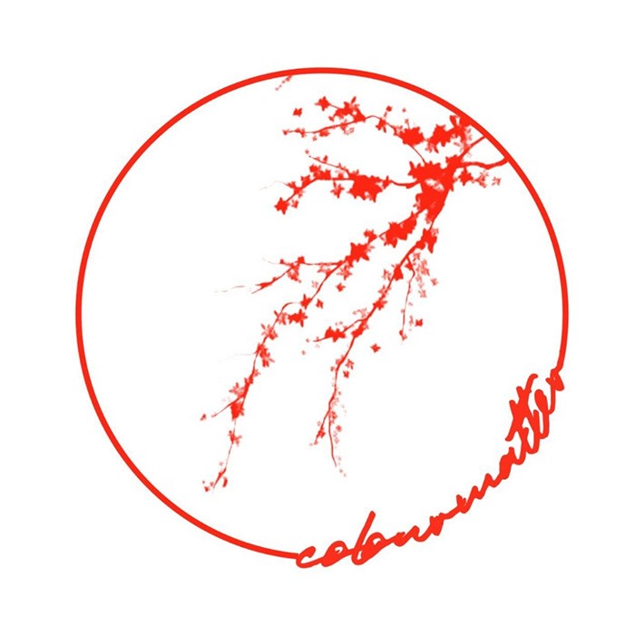 logo24