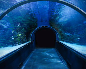 aquarium