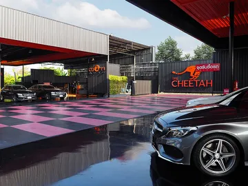 The-Cheetah-Super-Car-(5)1210182128409